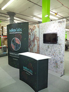 Panoramic C-line