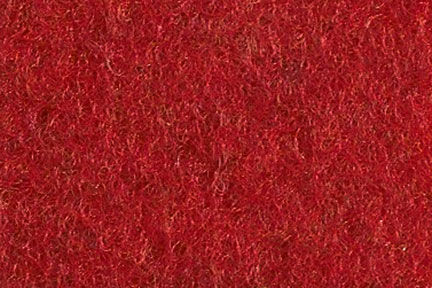 R11 Chilli Pepper