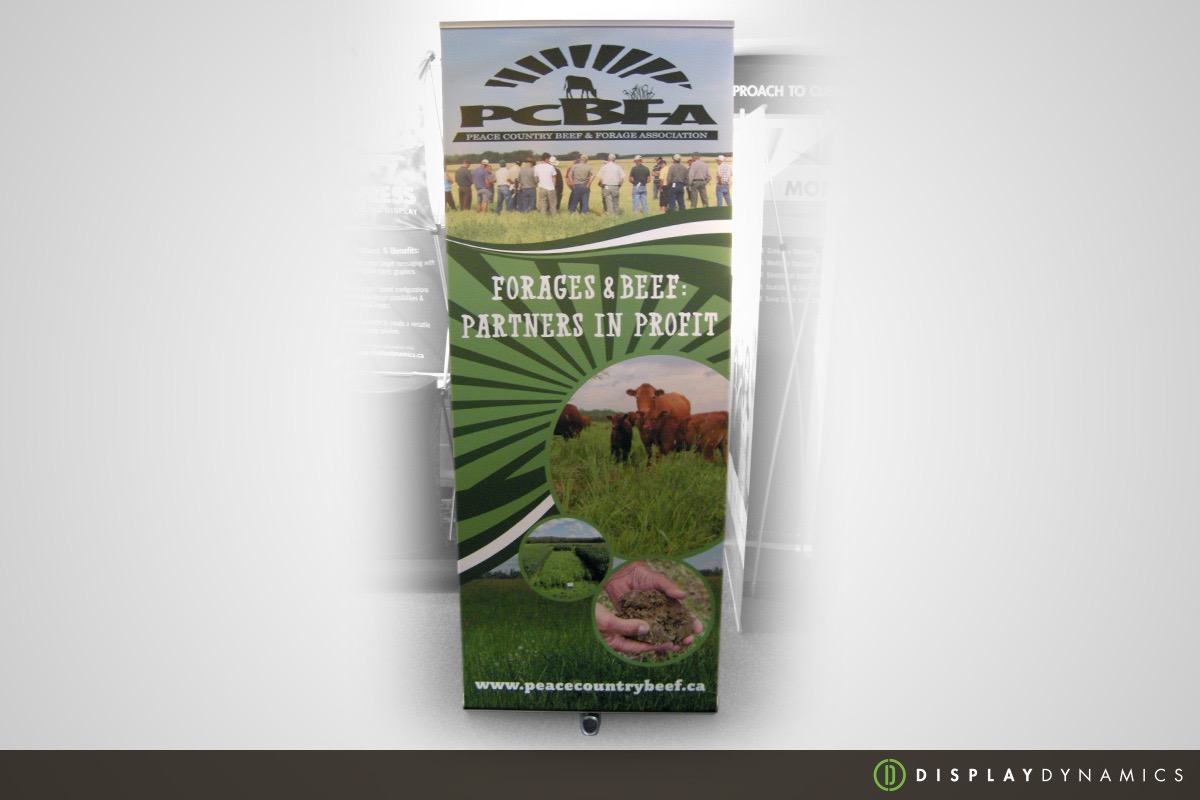 Roll Up S10 Banner Stand